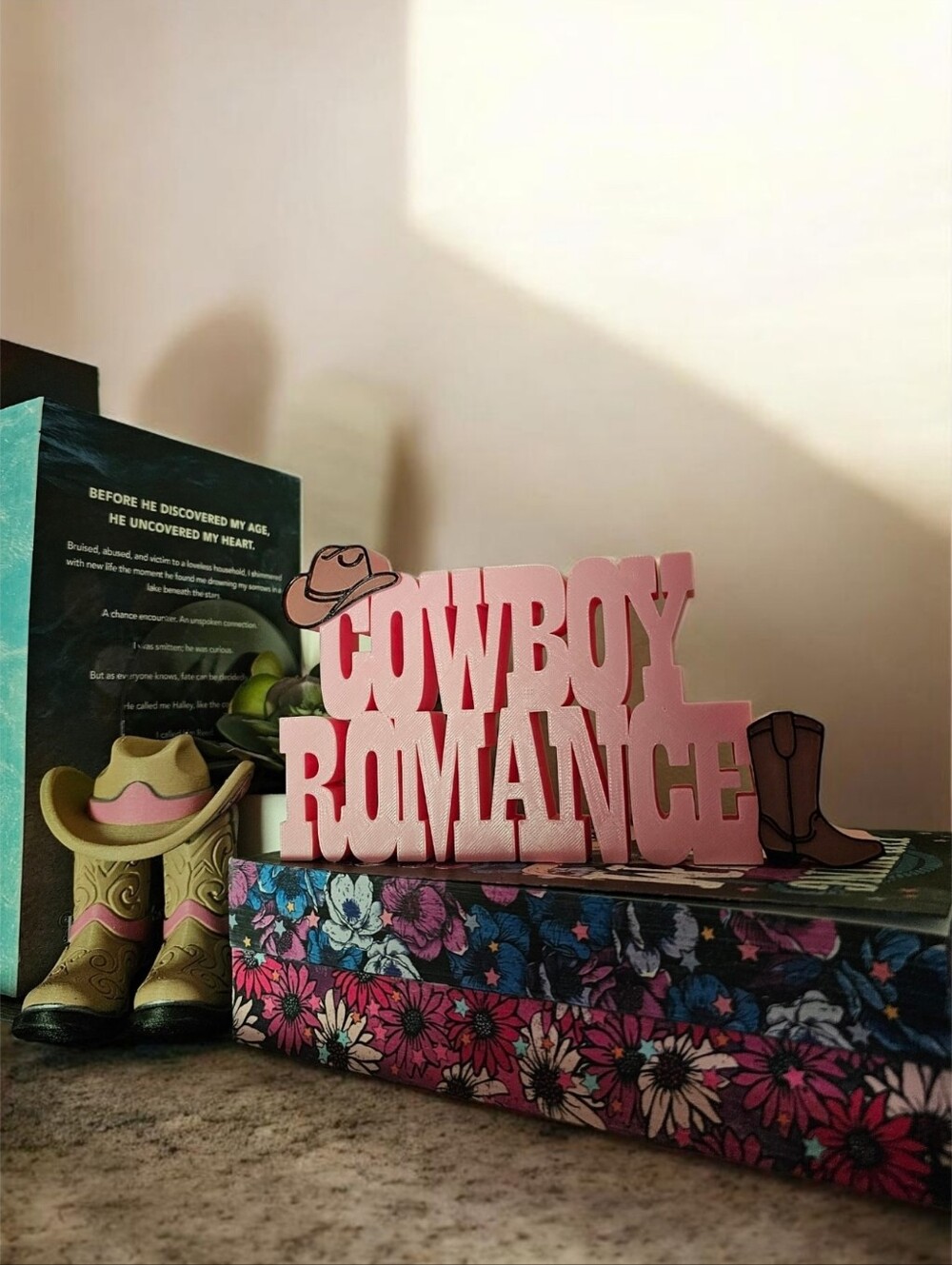 Cowboy Romance Book Shelf Decor Sign